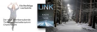 Straße im Winter. Link zum Buch Kalte Tage.